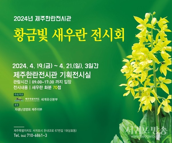 제주한란전시관 새우란전 개최