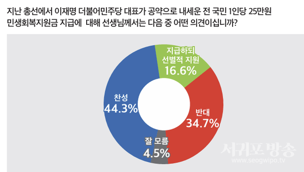 전국민 민생회복지원금 평가
