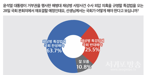 채상병 특검법 재표결