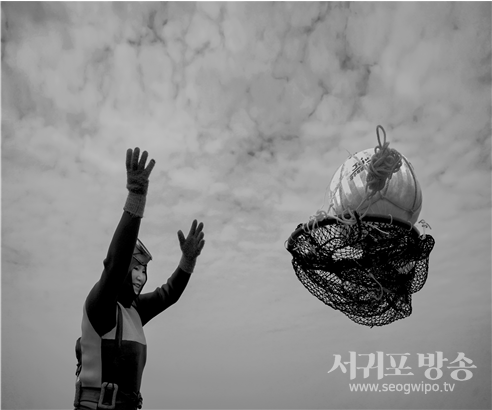 제주해녀 작품사진.