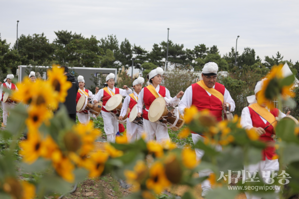 2023년 영천동 해바라기 축제 사진ㅇ