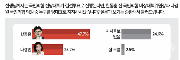 국민의힘 결선투표, 한동훈 대 나경원