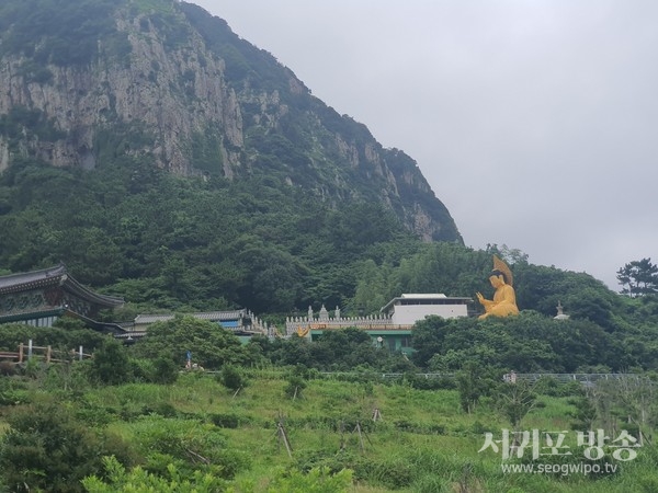 불법의심 건축물은 아래 첨부사진 중앙에 보이는 흰색 가림막 건물