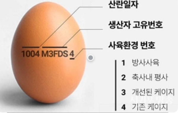 서귀포시, 하절기 유통단계 식용란 불법행위 집중 점검