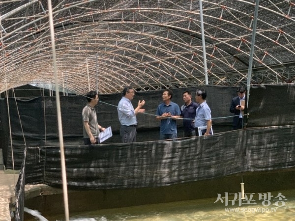 오순문 시장, 고수온기 양식장 현장 방문