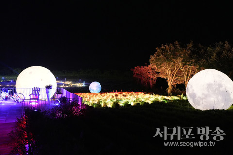 에코랜드 라벤더 웨이브 가든 보름달<br>
