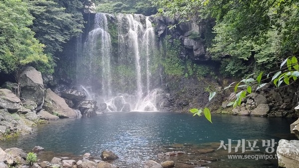 천지연폭포 전경