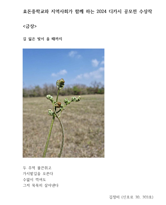 효돈중 ‘지역사회와 함께 하는 디카시 공모전’ 수상작 7편 선정