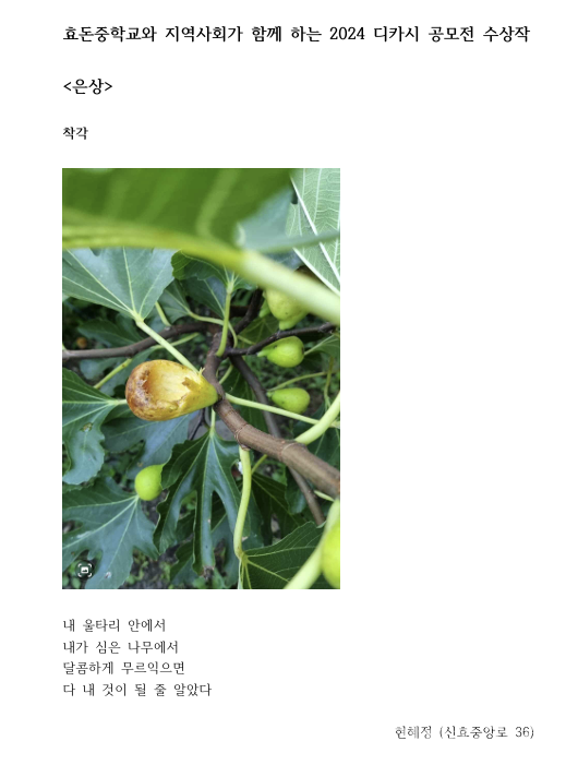 효돈중 ‘지역사회와 함께 하는 디카시 공모전’ 수상작 7편 선정