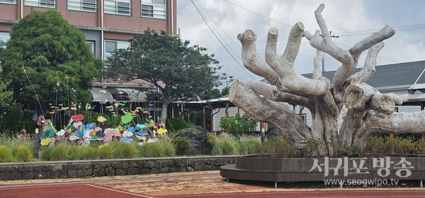 효돈중학교는 지난 6일부터 27일까지 3주간 ‘담팔수 솟대’를 만드는 교육활동을 전개해 담팔수 기억 공간을 조성했다.
