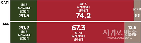 국정원이 북한군의 러시아 파병을 발표한 후, 정부는 우크라이나에 살상용 무기 지원을 고려 중인 것으로 알려졌다. 우크라이나에 살상용 무기를 지원하는 것에 대해 어떻게 생각하는지