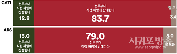 우리 정부가 우크라이나에 전투부대를 직접 파병하는 것에 대해서 어떻게 생각하는지