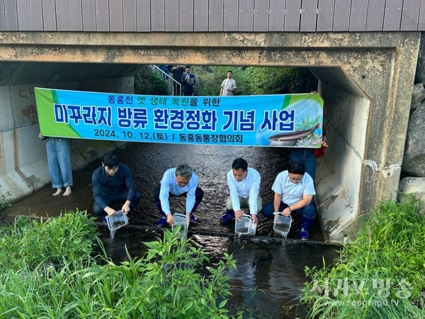 동홍천 옛 생태 복원을 위해 미꾸라지 방류