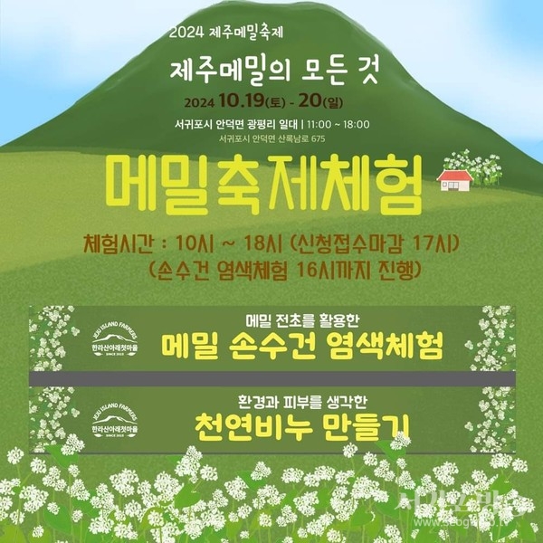 2024 제주메밀축제