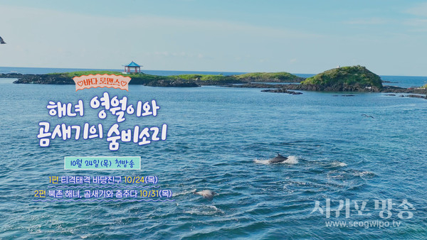 [바다로맨스] 해녀 영월이와 곰새기의 숨비소리