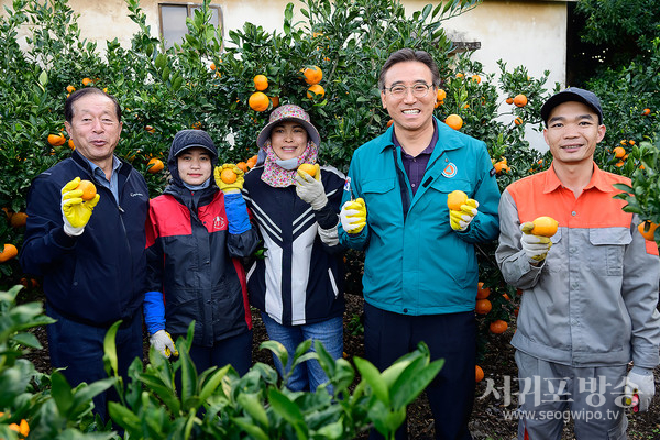 감귤 수확기, 오순문 서귀포시장과 외국인 근로자가 만났다