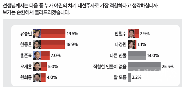 여권 대선주자 적합도