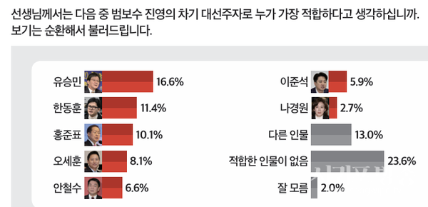 범보수 대선주자 적합도