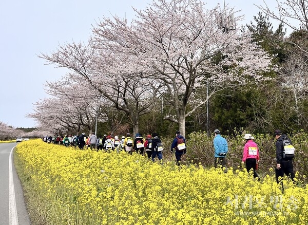 (서귀포보건소 동부보건소) 지역주민 걷기 사진