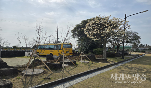 토평초등학교 학교숲 (2024년 학교숲 조성지)