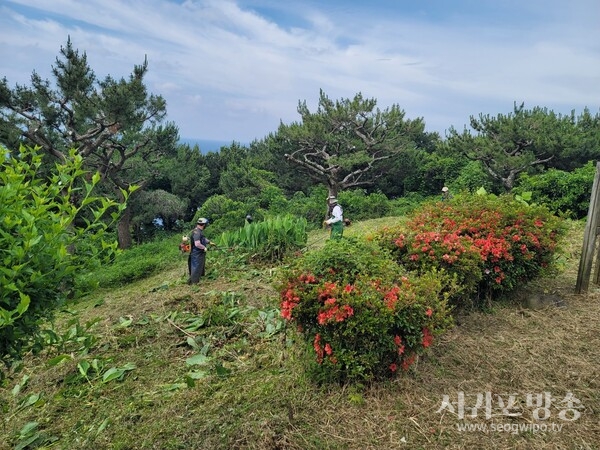 쾌적한 도시공원 조성을 위한 환경정비 사업 발주