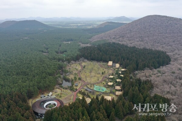 2025년 붉은오름 휴양림 숲길개선사업 추진