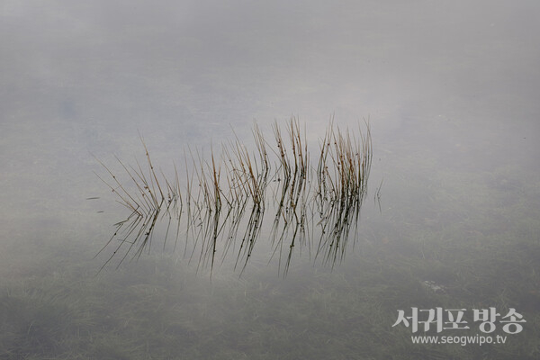 김경숙 작가의 사라오름