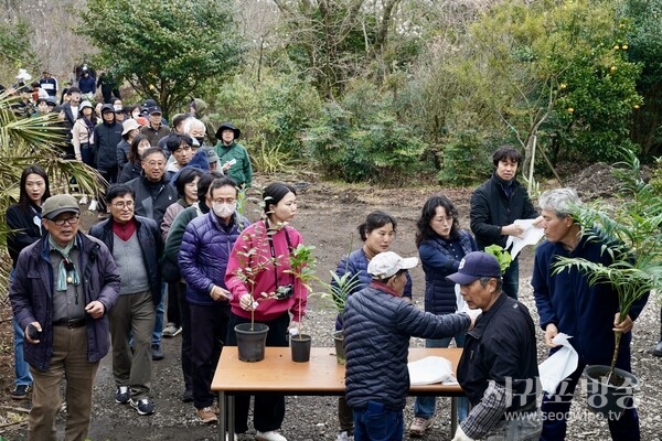 제14회 서귀포봄맞이축제