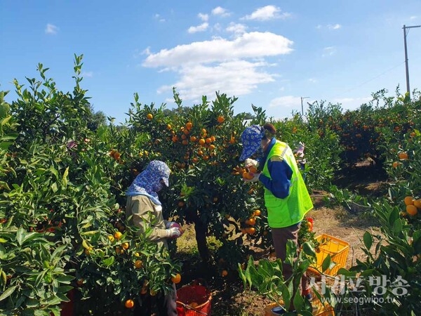 (농수축산경제국)2025년 지속가능한 1차 산업 경쟁력 강화 집중