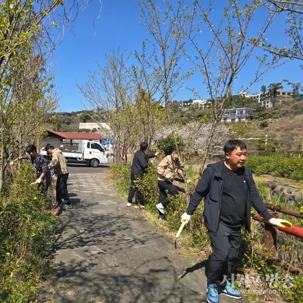 색달청년회, 식목행사 및 환경정화활동 개최