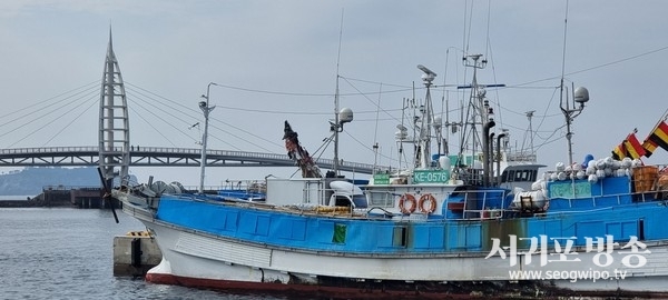 서귀포항 전경