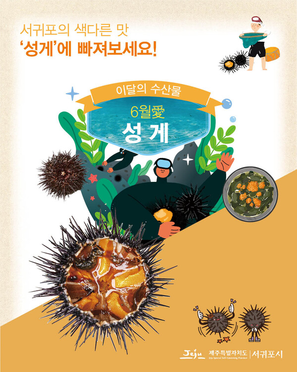 서귀포시, 6월 제철 수산물 ‘성게’ 선정·홍보 추진