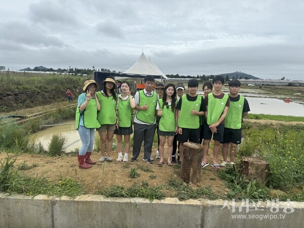 신평리 리본 봉사단체, 지난 13일 신평리 논에서 모내기 작업<br>